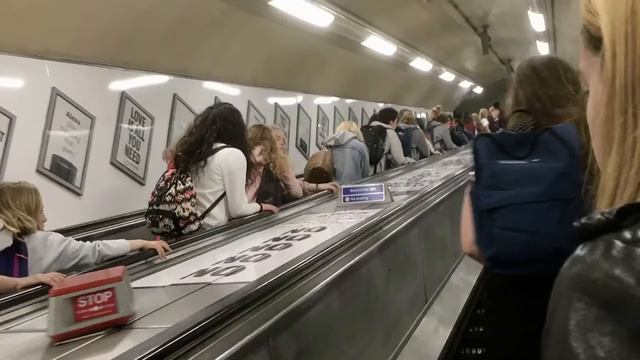OXFORD 2017 смотреть онлайн