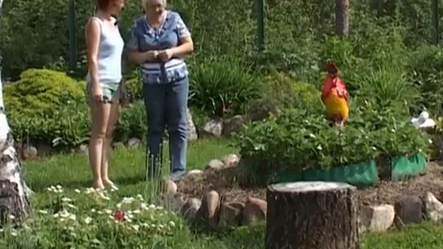 Дачные советы 19.06.2014 смотреть онлайн