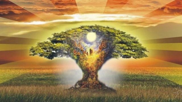 Медитация «ОЧИЩЕНИЕ РОДОВОЙ КАРМЫ И ИСЦЕЛЕНИЕ РОДА» смотреть онлайн