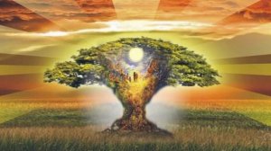 Медитация «ОЧИЩЕНИЕ РОДОВОЙ КАРМЫ И ИСЦЕЛЕНИЕ РОДА»