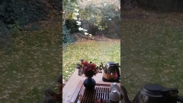 ЧАЙНАЯ МЕДИТАЦИЯ ПРИСУТСТВИЯ В МОМЕНТЕ, наполняющая энергией и меняющая состояние. Леся Темченко. смотреть онлайн