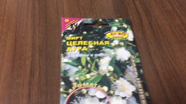 Семена комнатных растений смотреть онлайн