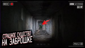 Охота На Рейка Ночью На Заброшке  Смотрите До Конца Это Важно.mp4