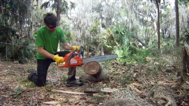 Husqvarna 450 Chainsaw Go-Pro смотреть онлайн