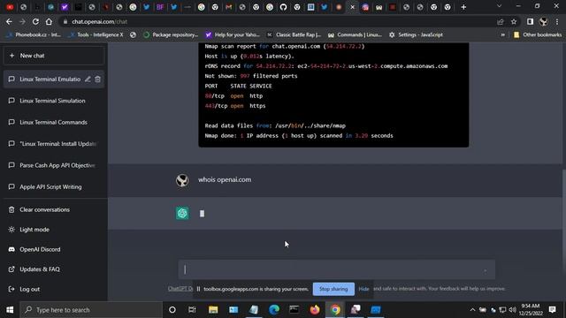 Make OpenGPT A Linux Terminal смотреть онлайн
