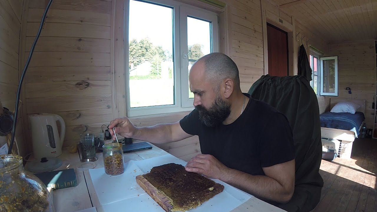 Деревня Соснино (перга)