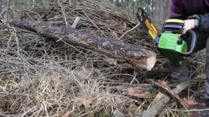 Уделала ВСЕХ ? Аккумуляторная пила ProCraft | Тест ВЕЗДЕ