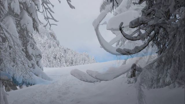 Randonnée photographique dans la poudre et le silence de la Grande Chartreuse смотреть онлайн