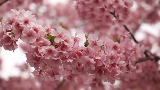 Послание небес на 13 мая. Ценные качества. смотреть онлайн