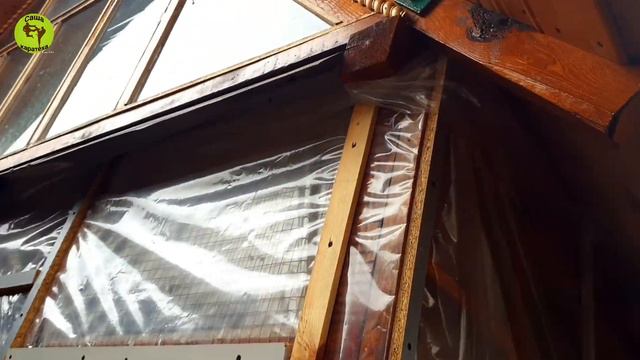 Таких попугаев я ещё не видел. Гигантское гнездо. смотреть онлайн