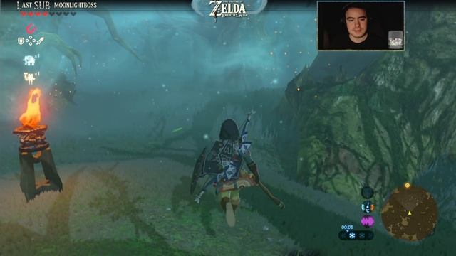 The Legend of Zelda: Breath of the Wild #8 - Меч Героя и Великий Лес! смотреть онлайн