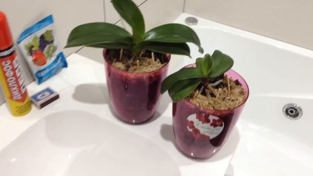 Стройка Секретов