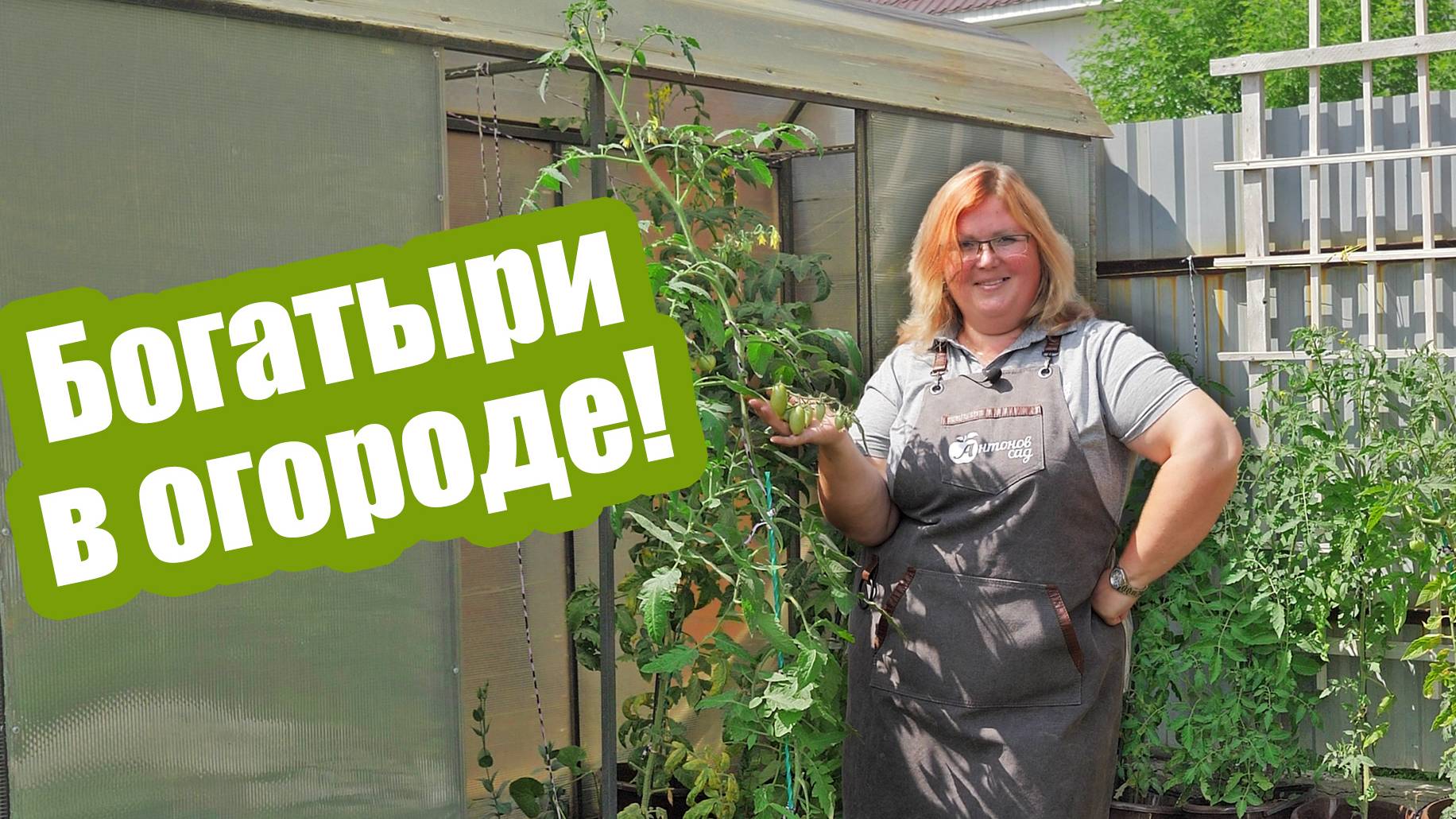 Экстремальное лето как помочь растениям! Как работают 33 богатыря смотреть онлайн