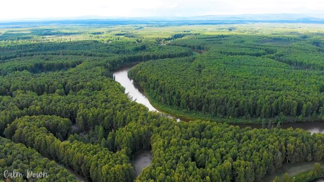 лечебная музыка для сердца и сосудов, релакс, музыка для души🌿спокойная музыка #13 смотреть онлайн