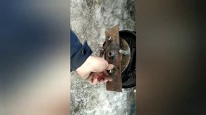 как снять закисшую полуось нива