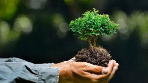 Проблемы взаимодействия человека и  природы