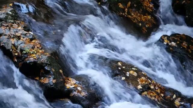 Родниковая вода - это источник энергии ..... смотреть онлайн