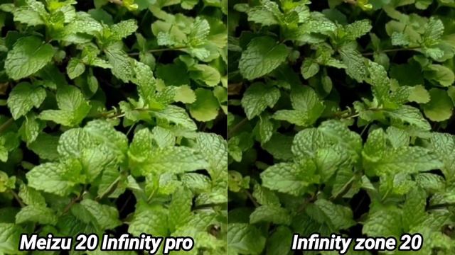 Meizu 20 Infinity pro vs Infinity zone 20 Camera test Comparison смотреть онлайн