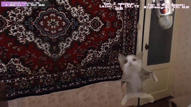 Кристаликс, МЕЖСЕЗОНЬЕ на СП Бедрок !сп - Corqi Корки смотреть онлайн
