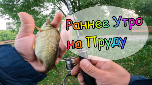 Ловля Карася ! Мормышинг 2022 ! Рыбалка на Карася ! Ультралайт !