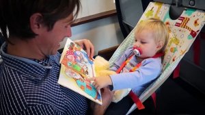 Гамак для перелета с ребенком до 2х лет gletscher baby