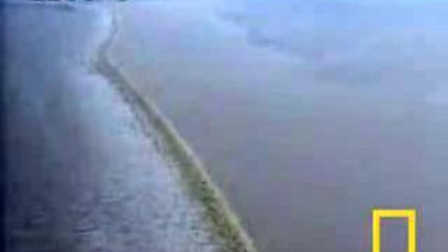 Цунами смотреть онлайн