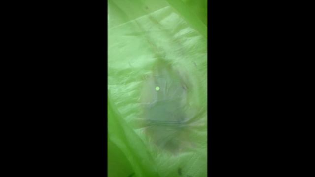 Как вывести пятна от гелевой ручки смотреть онлайн