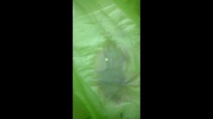 Как вывести пятна от гелевой ручки