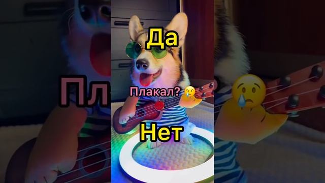 СМЕШНЫЕ ЖИВОТНЫЕ | Отвечай на вопросы только честно, да или нет? Как сильно ты любишь животных? смотреть онлайн