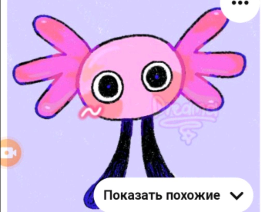 🩵кинито Пет🩷