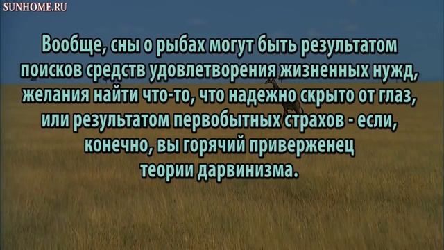 К чему снится Рыба, ловить рыбу сонник, толкование сна смотреть онлайн