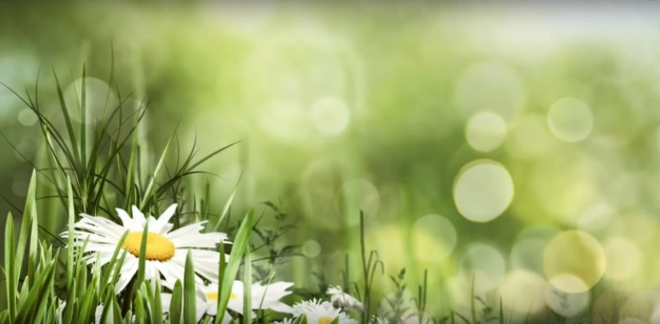 Расслабляющая музыка для отдыха и медитации -Relax Music,