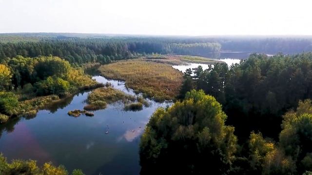 Красивые места Киевской области. Велопутешествие по БЕЛООЗЁРСКОМУ ПАРКУ. смотреть онлайн