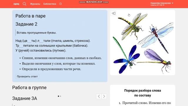 Урок 8. Природа родного края. Состав слова. Русский язык. 3 класс смотреть онлайн