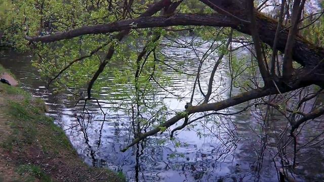 История русской усадьбы Влахернское-Кузьминки. смотреть онлайн