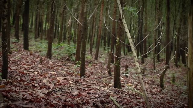 Building Complete And Warm Survival Shelter In The Trunk - Full Video
