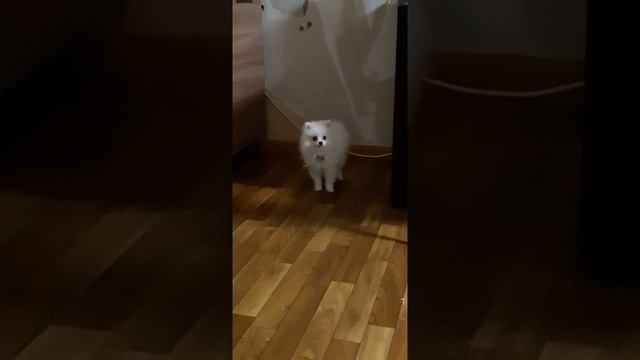 В первые месяцы жизни увидел телефон смотреть онлайн