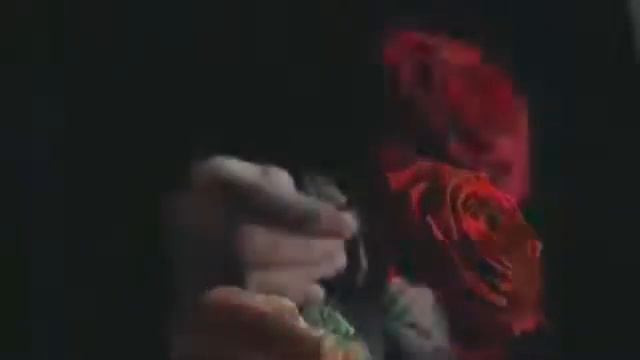 Все временно 👌🐼 смотреть онлайн