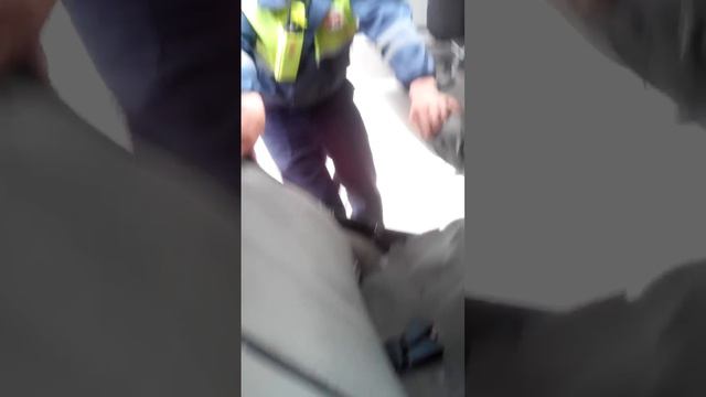 досмотр тачки