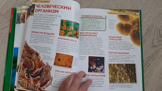 МИКРОМИР Детская энциклопедия. РОСМЭН. 5+ смотреть онлайн