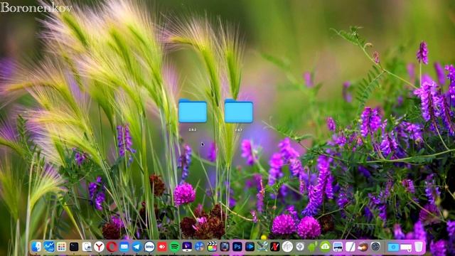 РАБОЧИЙ VOODOOHDA.KEXT 2.9.7 / MACOS BIG SUR / MONTEREY / HACKINTOSH! смотреть онлайн
