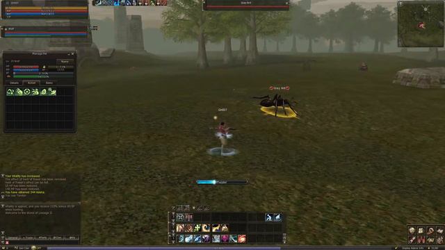Lineage 2 Gracia Final - L2Reborn смотреть онлайн