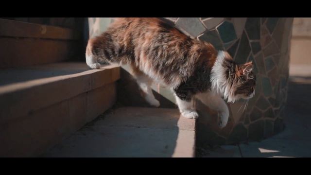 Екатерина Хлебникова " Азербайджан " смотреть онлайн