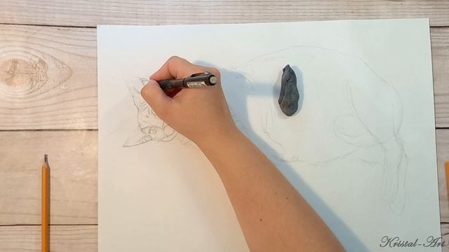 Кошка-толстушка. Рисую дешевыми материалами #cat #drawing #sketch #artist #art смотреть онлайн