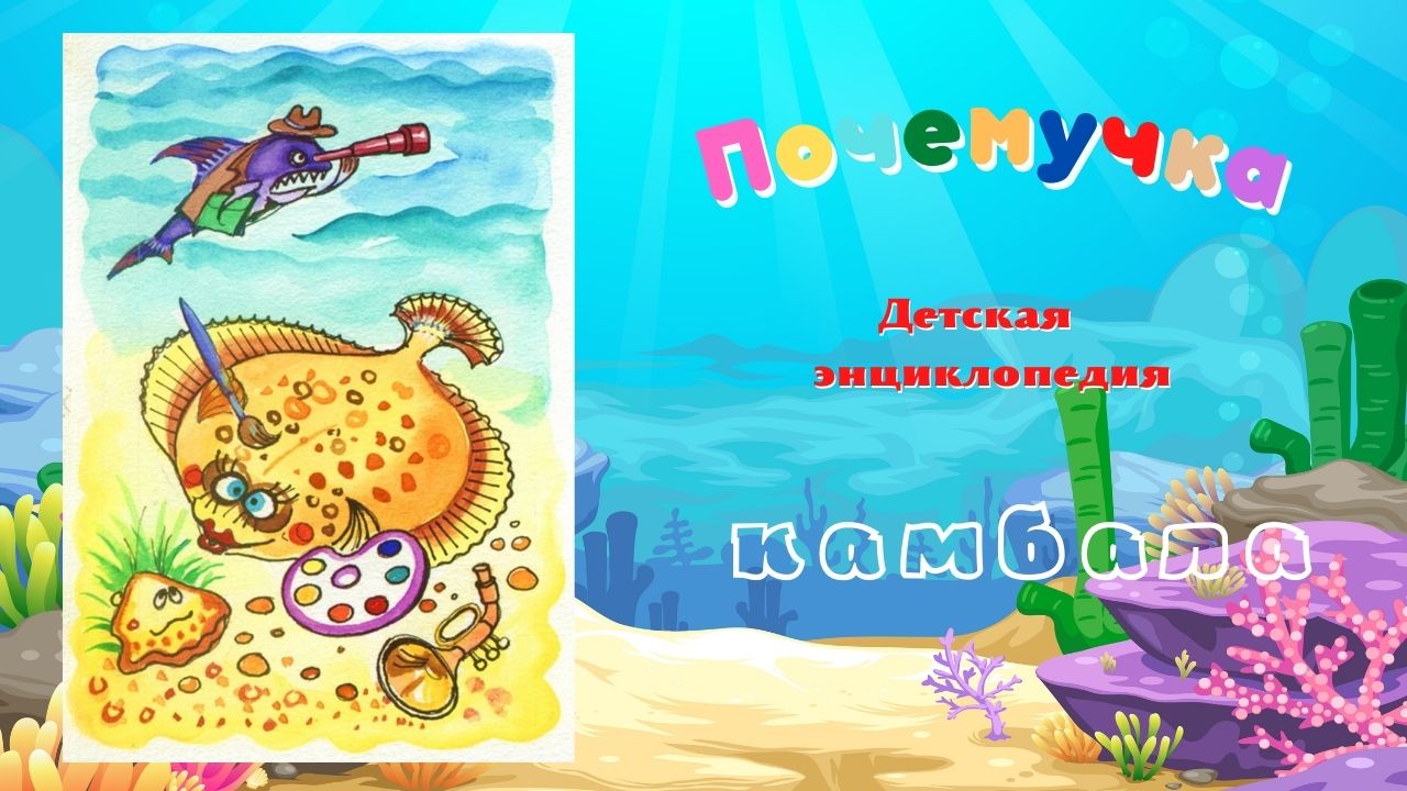 0+ Камбала. Почемучка. Детская энциклопедия. смотреть онлайн