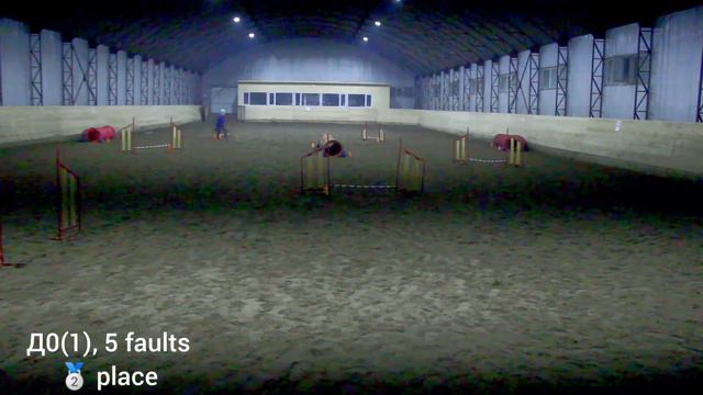 Agility competition Omsk 31.01.21/ Аджилити соревнования толлер и дворняга смотреть онлайн