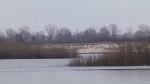 С 1 ноября в Беларуси вводится запрет на лов сома