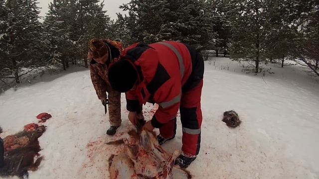 Нож НР-358 в работе. Тест ножа из стали VANADIS 10 смотреть онлайн