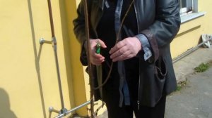 Персик, Слива русская (алыча) Подготовка саженцев к посадке.Хабаровск.