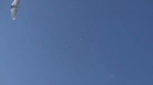 Голуби+Сода+Здоровье. Голуби будут как арабские скакуны!!! Pigeons+Soda+Health